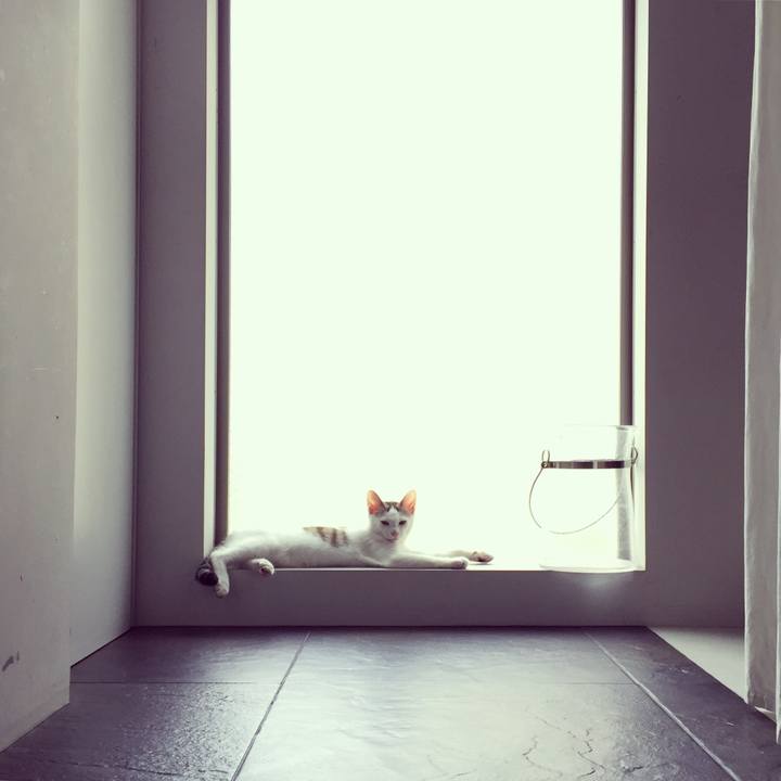 Ffdbde76 c95f 4296 bc0b 81e0fabf9fbc