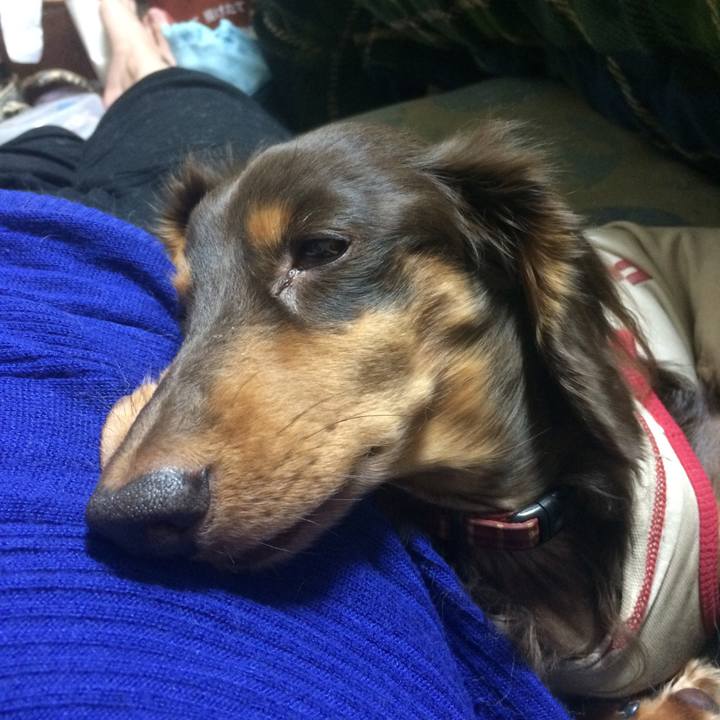 Ffdbfe5f ed94 4166 8271 52043045ccd2