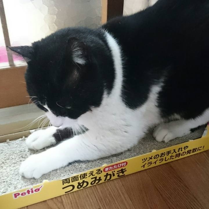 Ffdc706c a45a 45b8 a62b 5c3c6f09701d