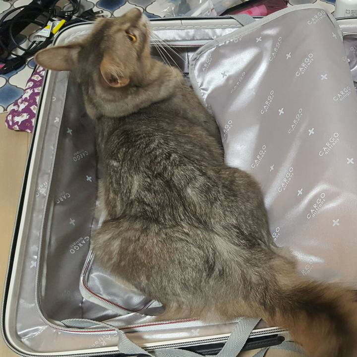 Ffdd1512 a562 417e a9eb 44378056b3be