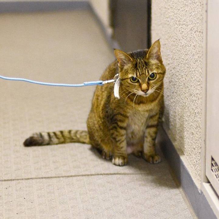 Ffde2c2e 47ef 4c90 9643 eb36b10b36ba