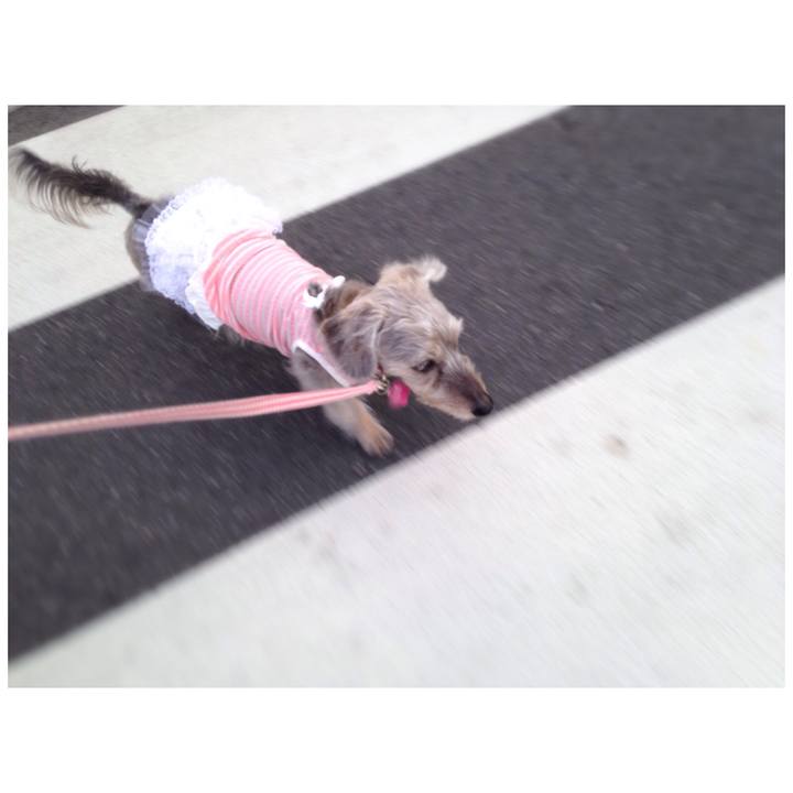 Ffde8f8a 76dd 454b a979 2e39e4f24e80