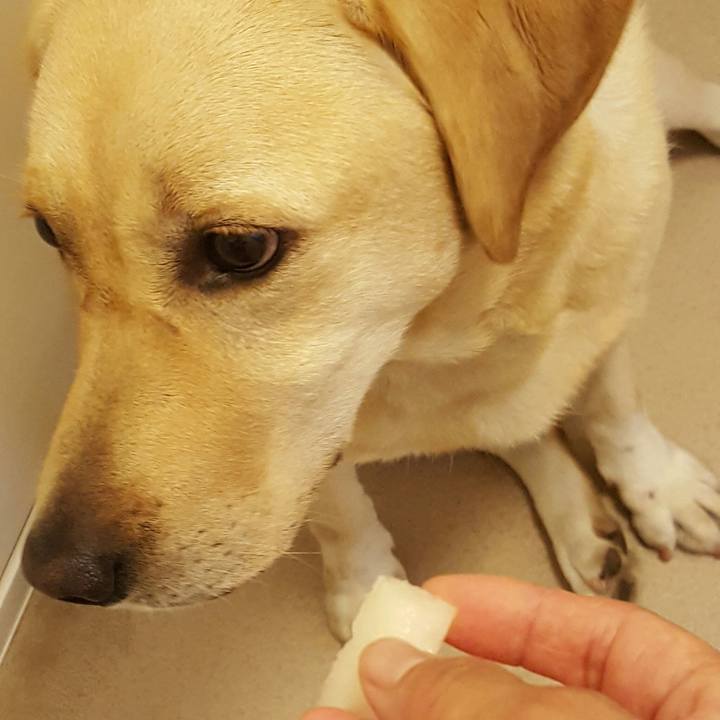 Ffded58e bfe1 45dc b77d 31ecdb7e57f7