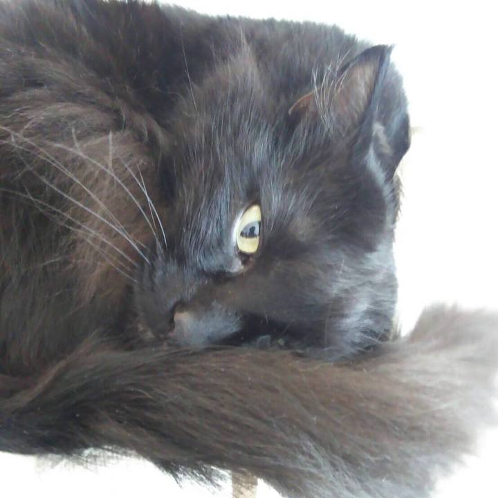 Ffdf43e9 bf94 410d a254 a4c283e92002