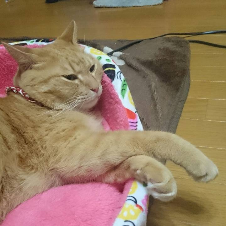 Ffe0167c 4b21 487f a30f 868a2cfbdb03