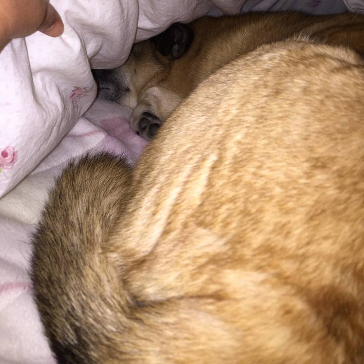 Ffe0512a 5e35 4b38 818c e05304c493c8