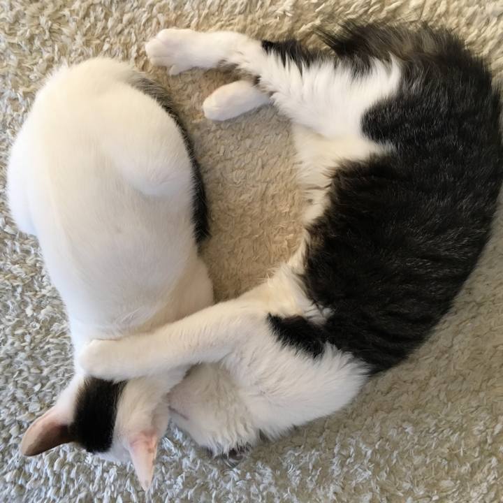 Ffe054f6 9966 4db8 a90d 969dec9acb94