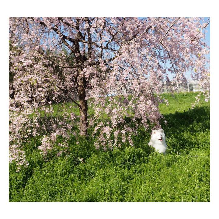 Ffe0ab61 1272 4a17 9e99 523c8f7d2dcd