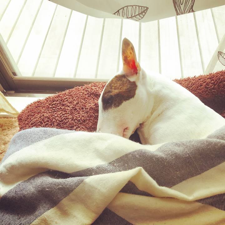 Ffe1cf3b 2fc3 4afe 903c 9438d9cb091c