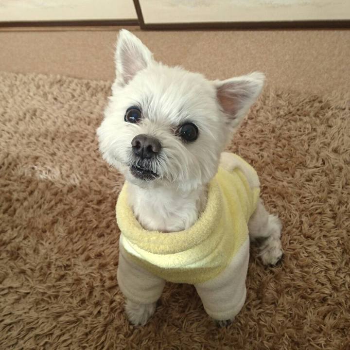 Ffe1f472 df98 4888 9a93 52218e47d2c6