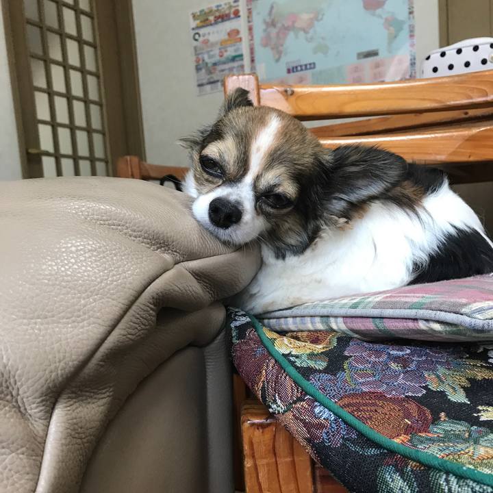 Ffe21907 2160 4d2e 8d8c f870bd253ac8