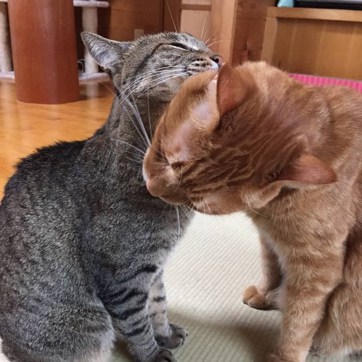 Ffe22463 32ff 49a1 8343 ecc1c7e8b91a