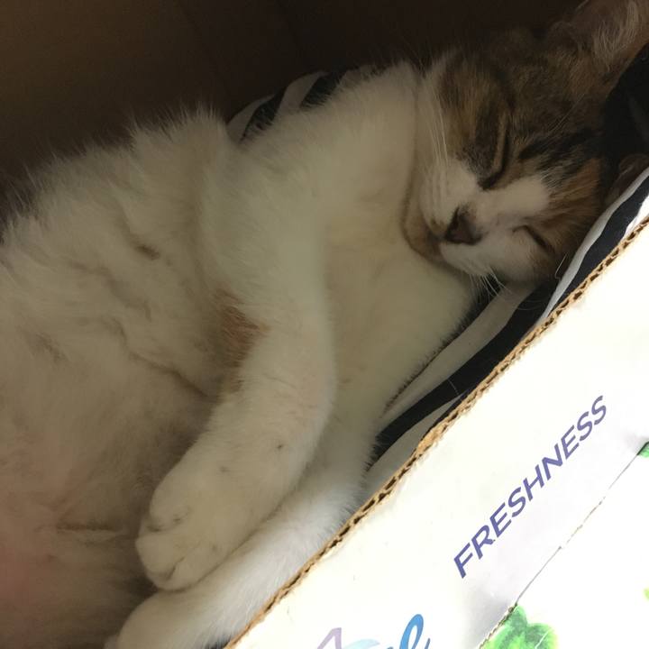 Ffe25697 cc7f 4e24 9bfd aa89c65f6a08