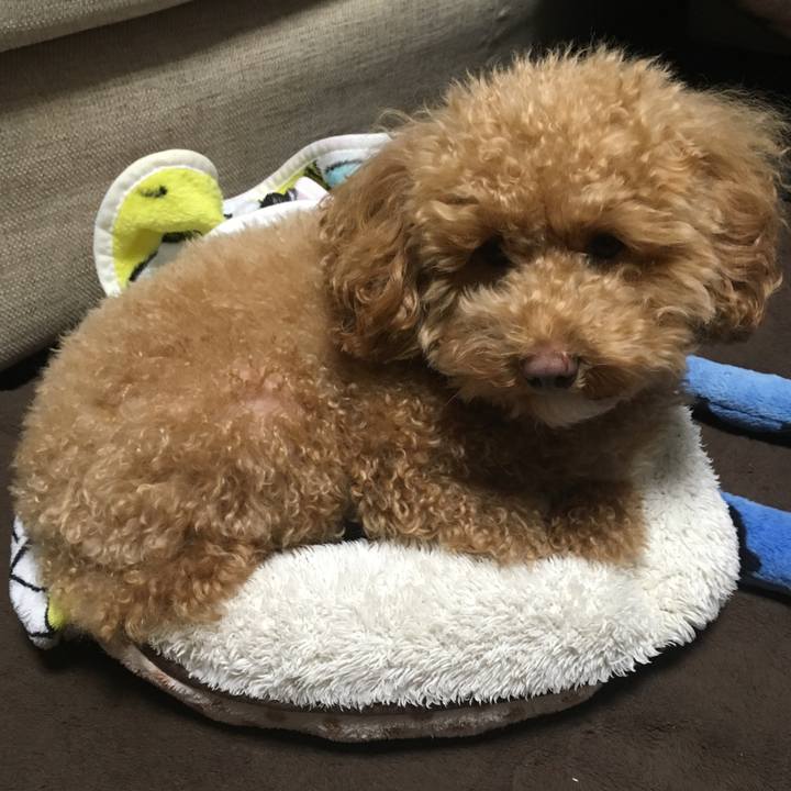 Ffe27f11 0abe 4b3c bfc9 5f7f227e08f8