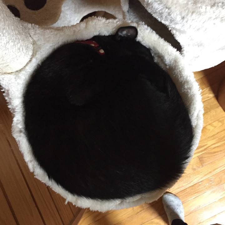 Ffe2822a 7ce5 4d3a bad2 051e8f2bb337