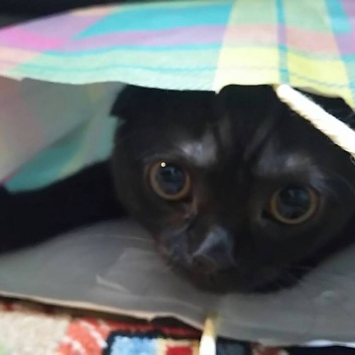 Ffe2c014 f56d 42bb 82fe c095471bf11c