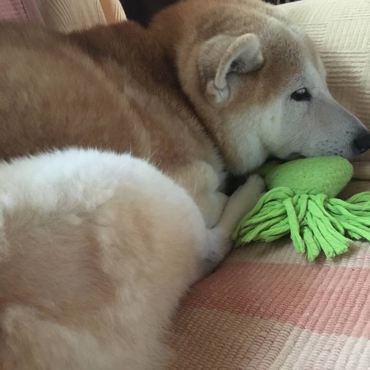 Ffe2e6a1 81a4 4c79 b4aa 1fc8e52a2c93