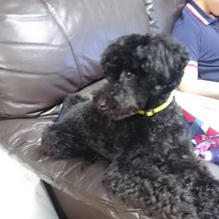 Ffe35c49 6ef6 424d 9881 c95bac051984