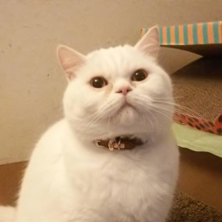 Ffe3a9b8 6337 4989 9852 89f0b2e87076