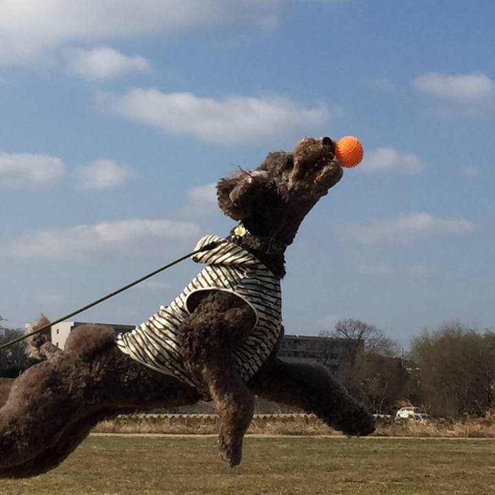 Ffe455c4 1e05 4a2b ba09 cd7ae279e836