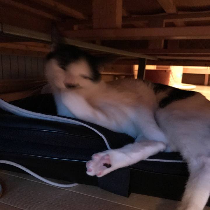 Ffe46059 d45b 4be6 9f31 23d94582c0c9