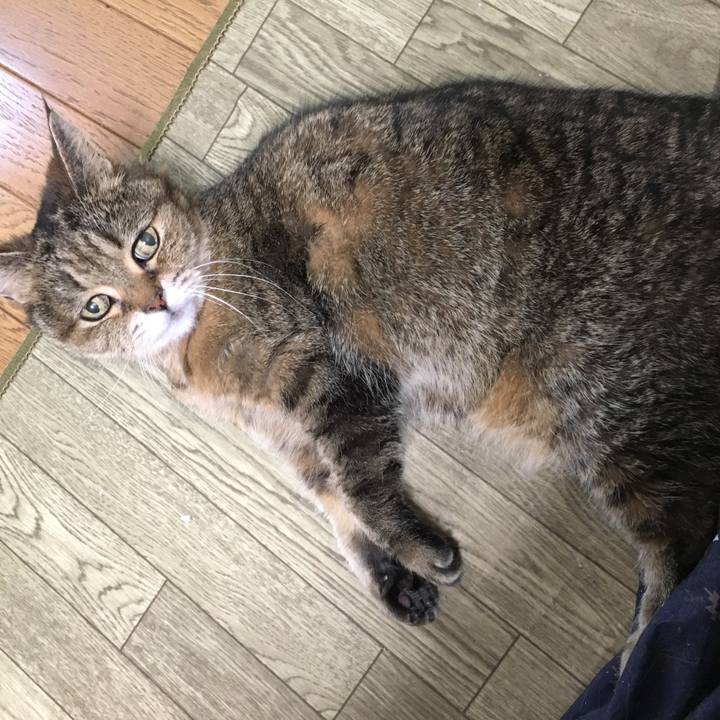 Ffe4fcb7 9a2e 42ab 8cfe 8b9348b39cab