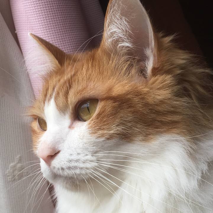 Ffe65a60 51e9 4f83 a141 b51cca22ee07