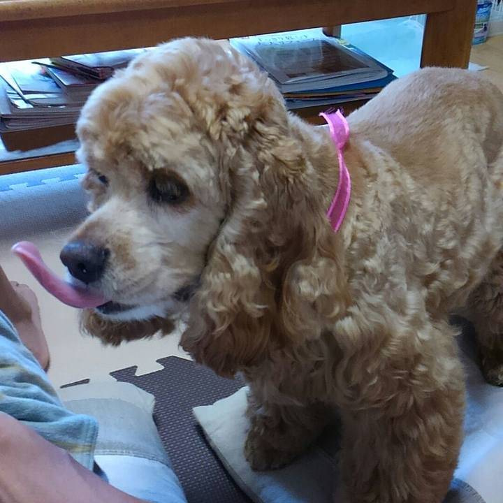 Ffe68ca5 1dc2 4852 9353 fbb08b749bba