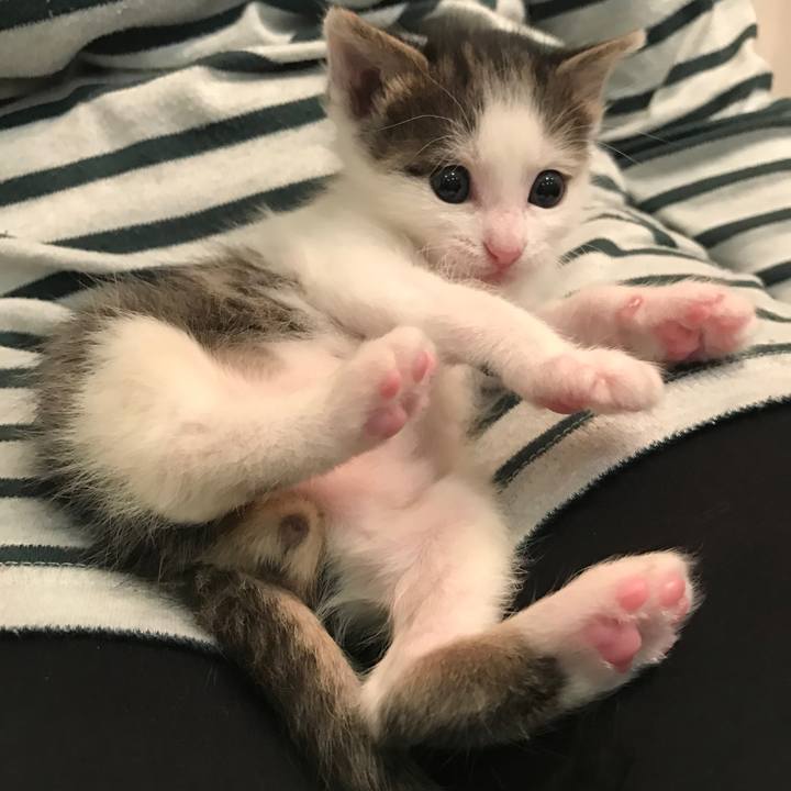 Ffe70696 b5e7 4dc3 ab43 16557483387b