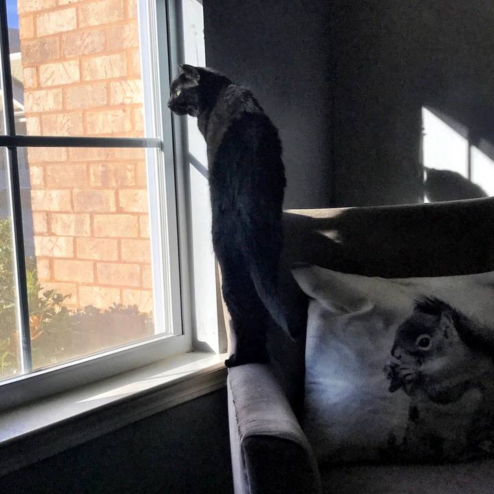 Ffe817ab 1784 4993 a47d 39401e63a827