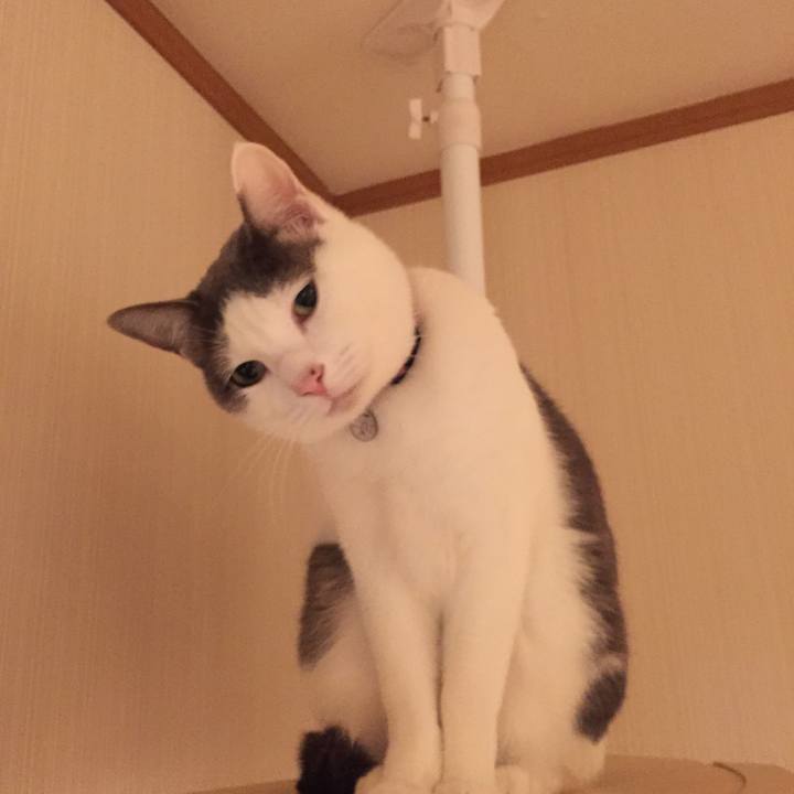 Ffe86dc7 4687 451a 805d 3d0af859ca28