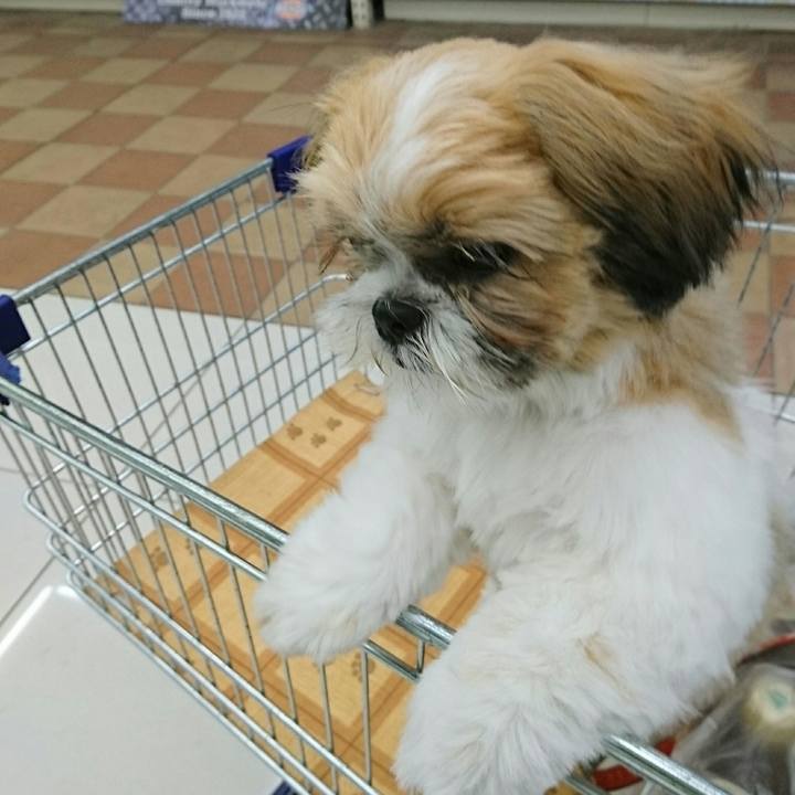 Ffe9129f 66ba 4b95 ae97 988fb466b4dd