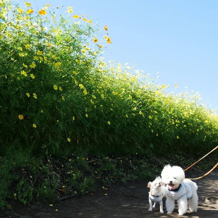 Ffe94e10 5680 4e24 af46 7eef04399f45