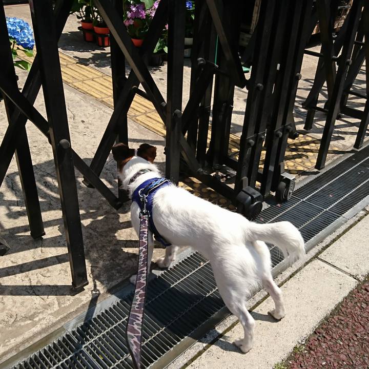 Ffe98bb5 0631 44c8 9f3f 3bc60cb0566d