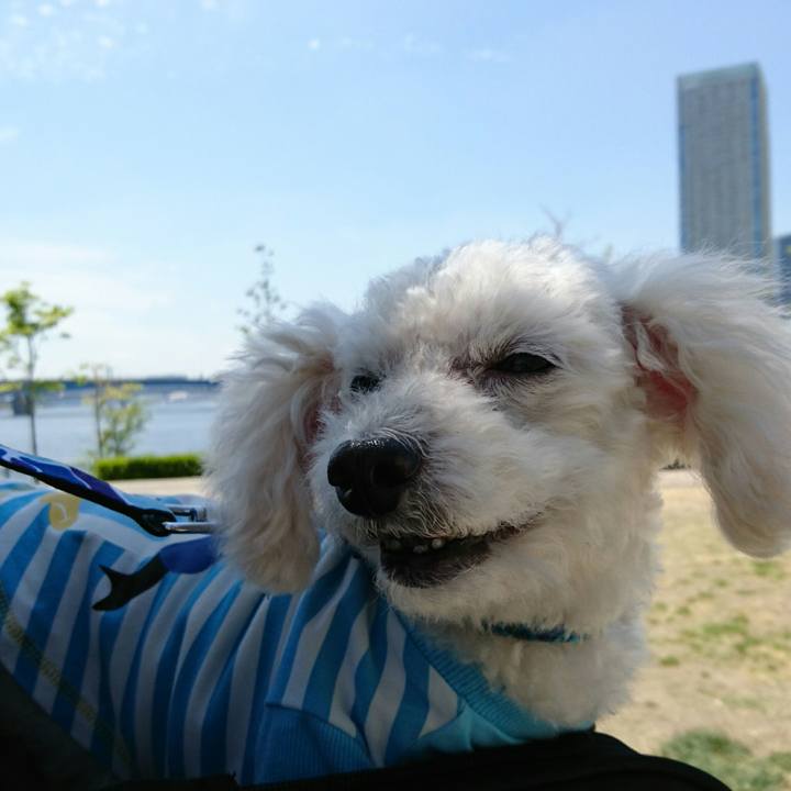 Ffe99cd8 9c3a 49bd 81d5 cac887480dcb