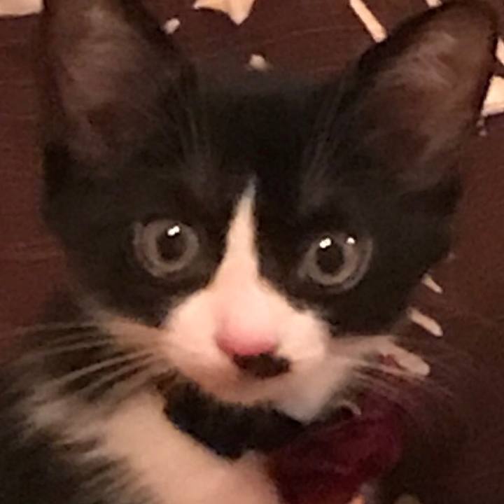 Ffea25ff 497f 477e 92ca 995d7f6db11a