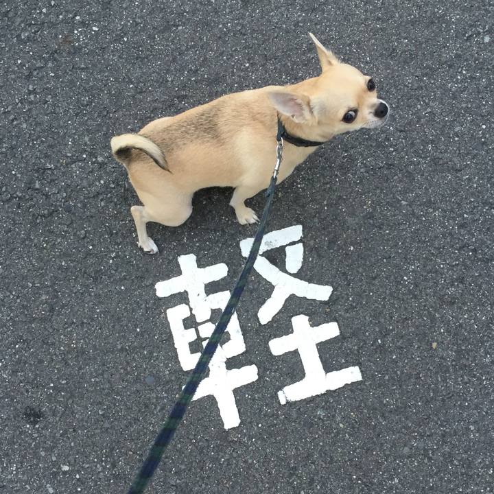 Ffeae4a3 a474 4ae0 bc59 712ce9069572