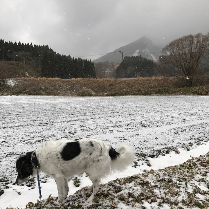 Ffeaf98a 91e3 4870 ac0c b71d6dd8542c