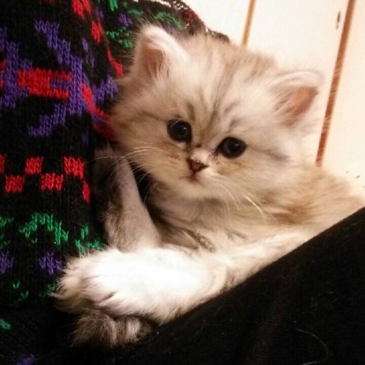 Ffeb14d2 43c3 4737 a21a 5adb0446b2ef