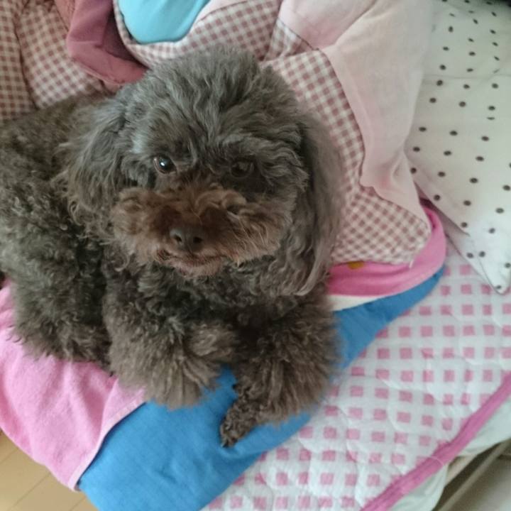 Ffeb2549 1b01 48f2 a7b3 00677066d0a9