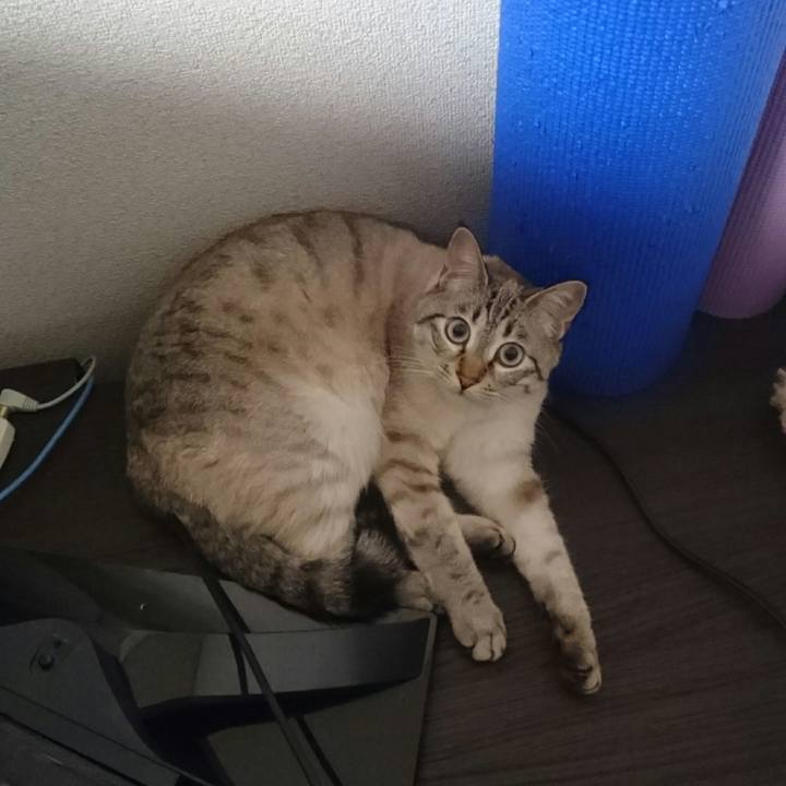 Ffec5d29 2730 4365 8744 2d6524a938e9