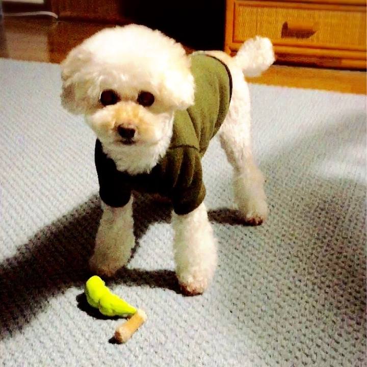 Ffec6931 ad41 4f64 b699 13b2502571b8