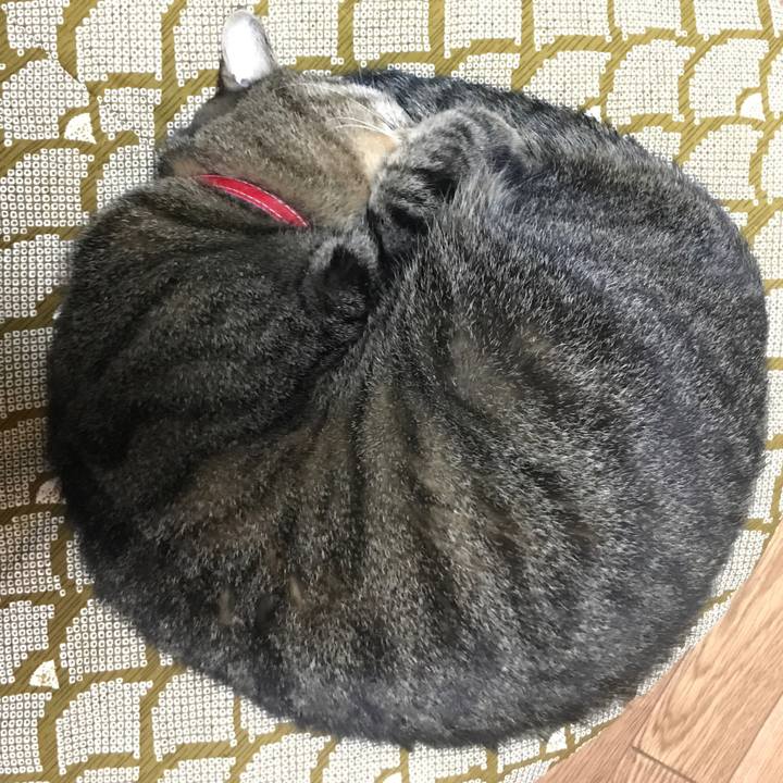 Ffecb350 8d10 48e5 bdb5 810ebc10fadb