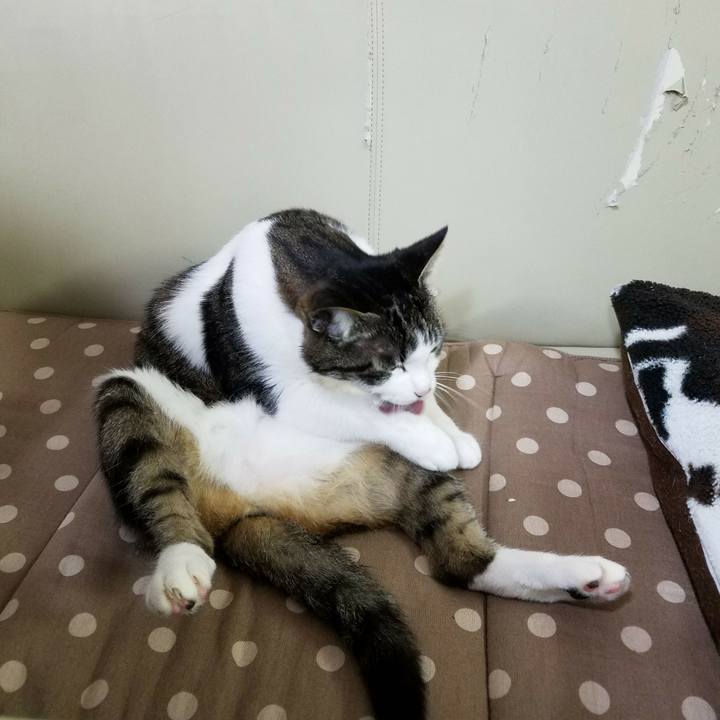 Ffecc3ee 5ef4 4897 b1a2 09a3fa81e979