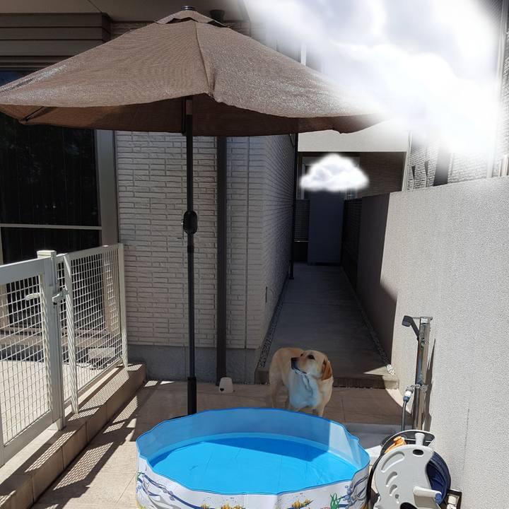 Ffecfe7f d94d 4933 813d 69bd7b39e26e