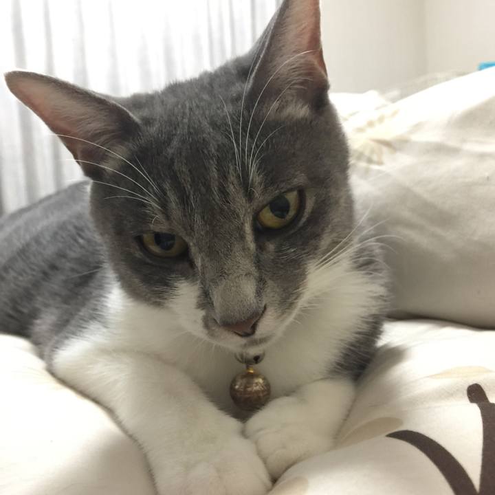 Ffed15a0 6a8f 4224 8b99 b74ec5ba2de8