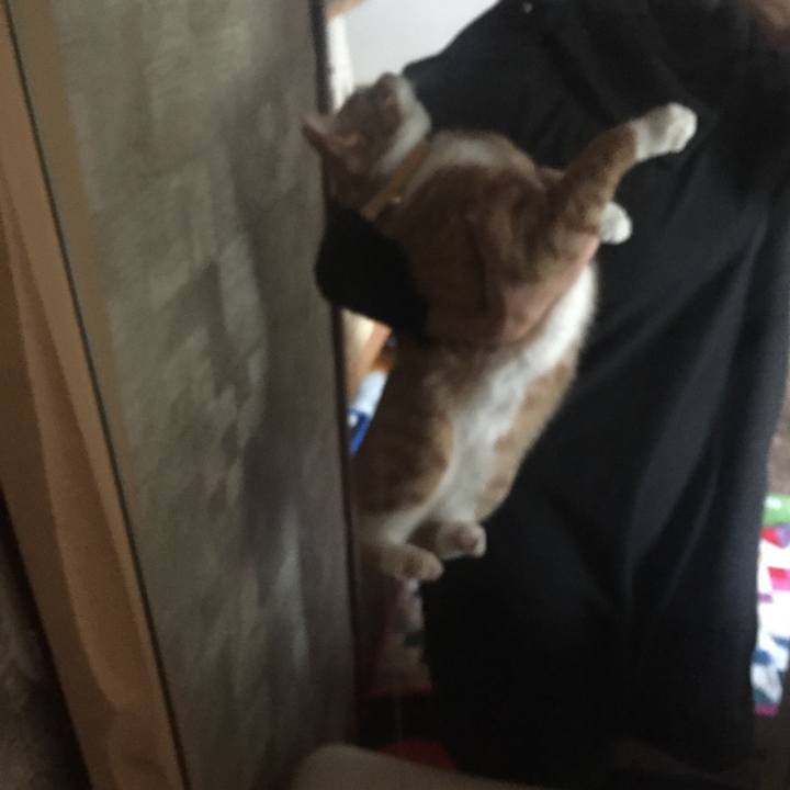 Ffed3454 866e 41a8 9df4 7075017c718a