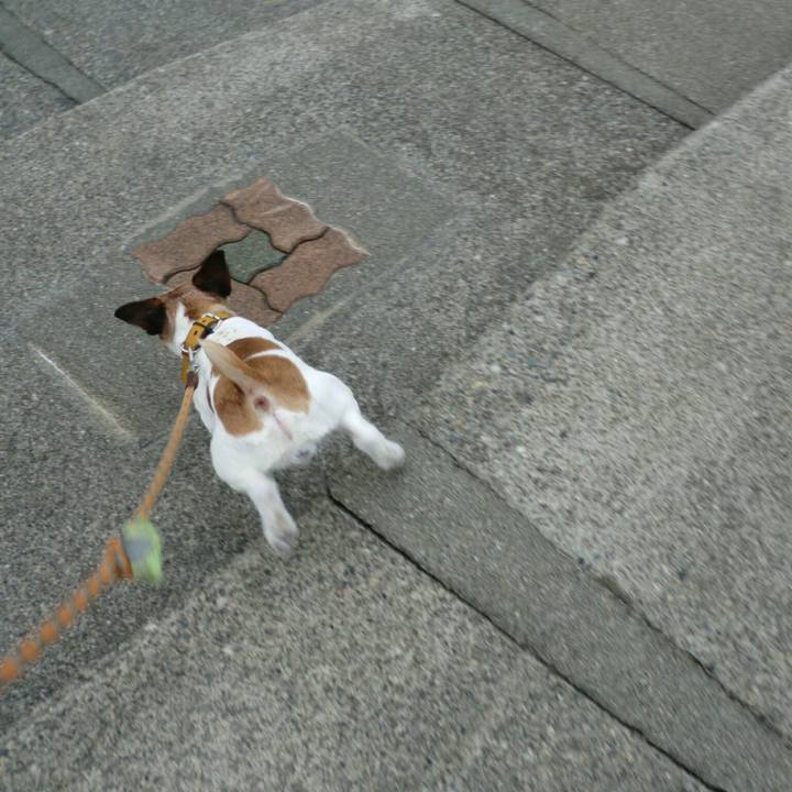 Ffed7838 0582 419e aeab bcd656848f89