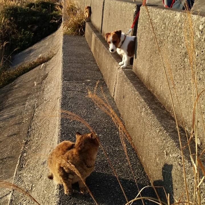 Ffed7e83 741f 4a8c 9bf6 623787394bee