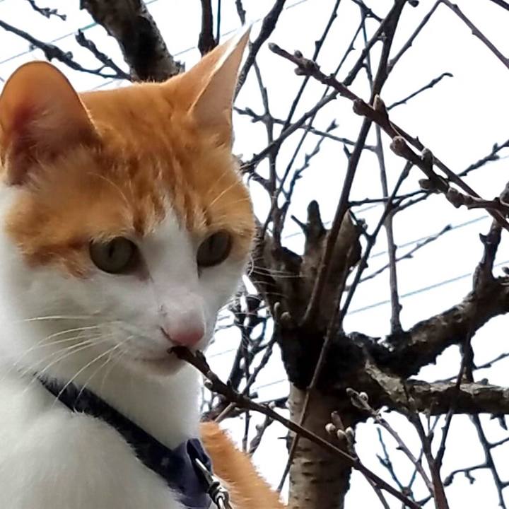 Ffed7f7d 15c2 459d 9705 454ed9df623a